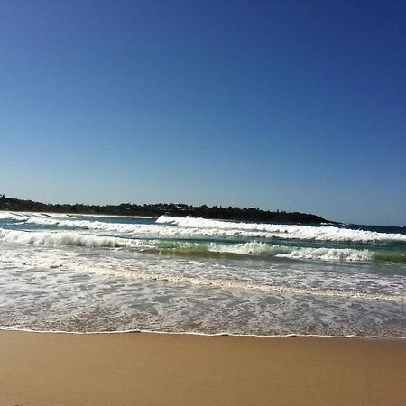 Mollymook Paradise Haven Motel Екстериор снимка