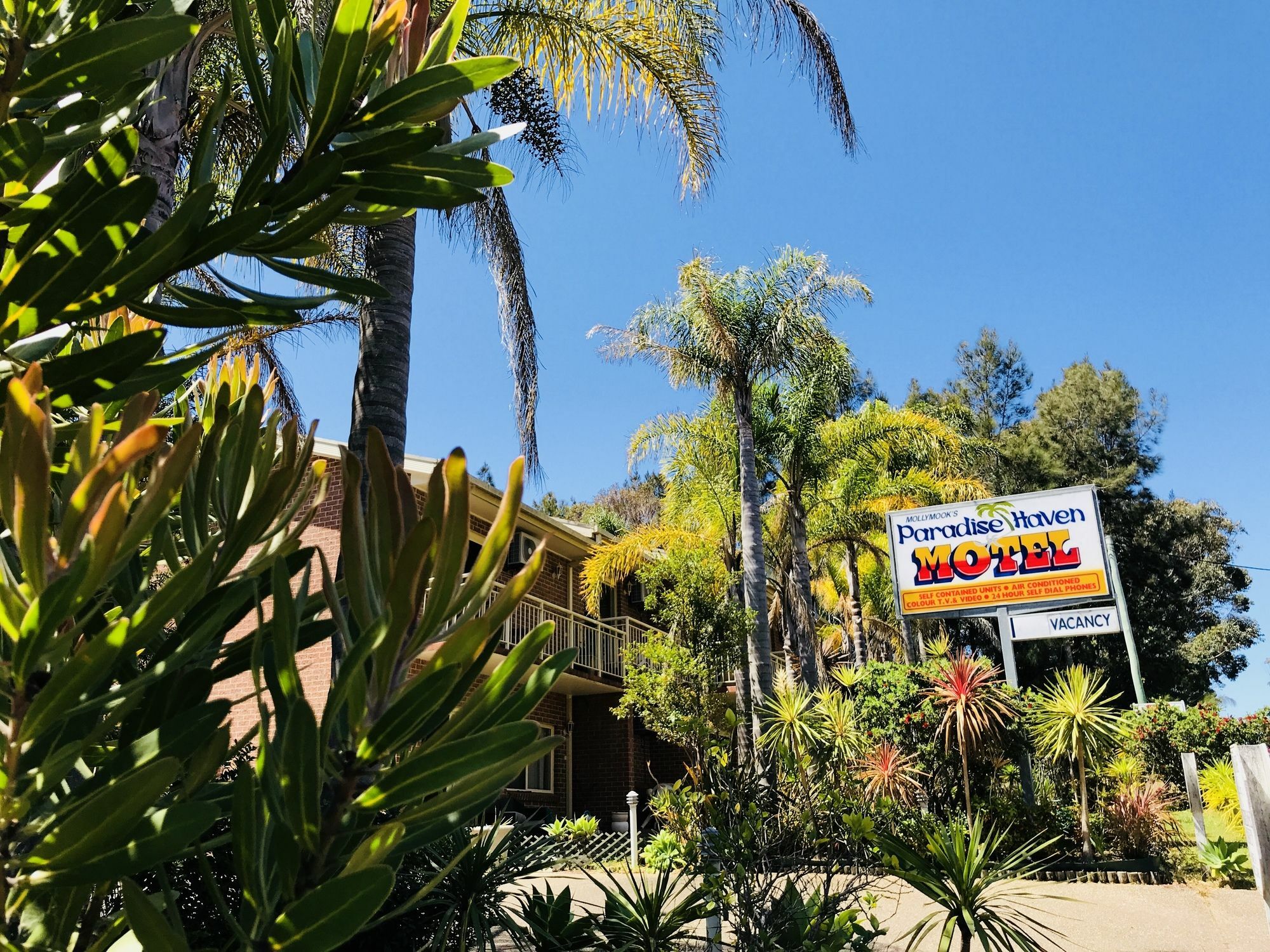Mollymook Paradise Haven Motel Екстериор снимка